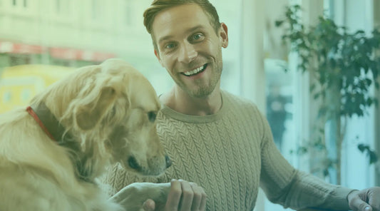 Como Criar uma Experiência Memorável para os Clientes do seu Pet Shop