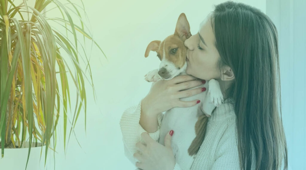 5-tipos-de-maes-de-pets