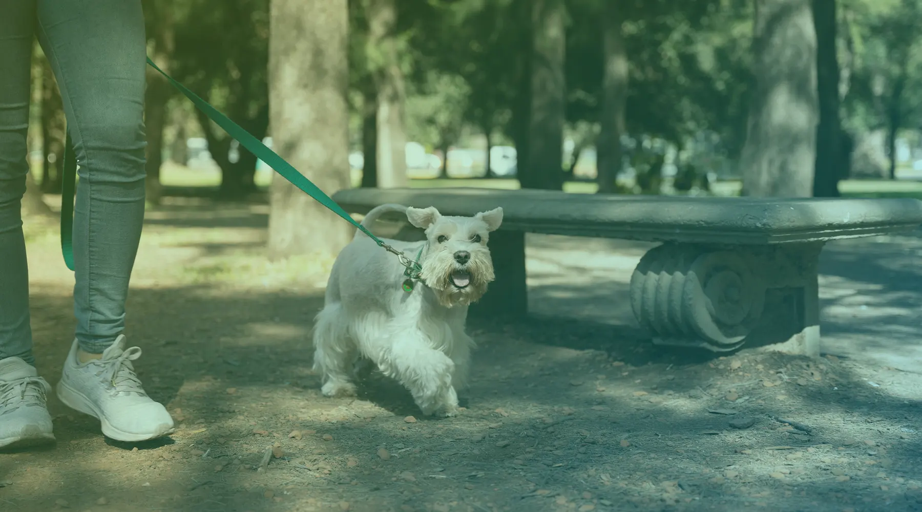 Quais ingredientes devo procurar ou evitar em petiscos