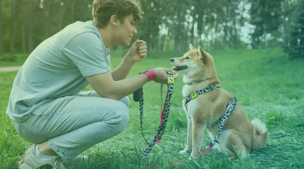 duvidas-sobre-petiscos-para-pets