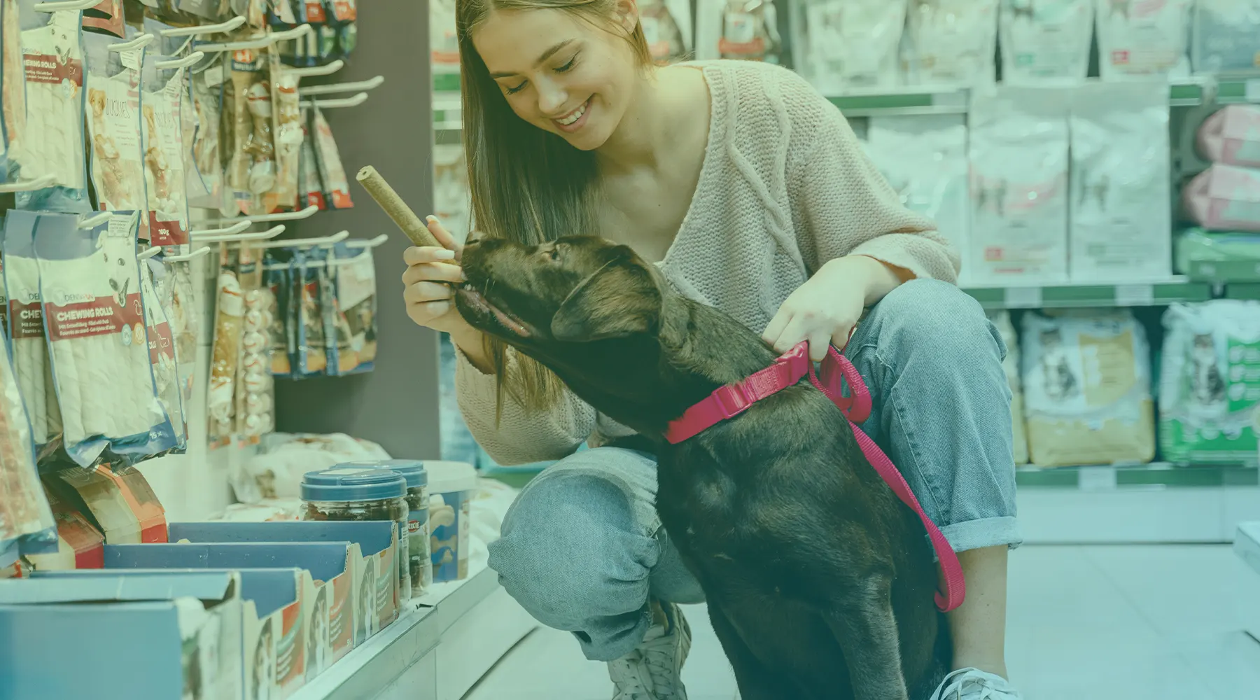 vendas-petiscos-petshop