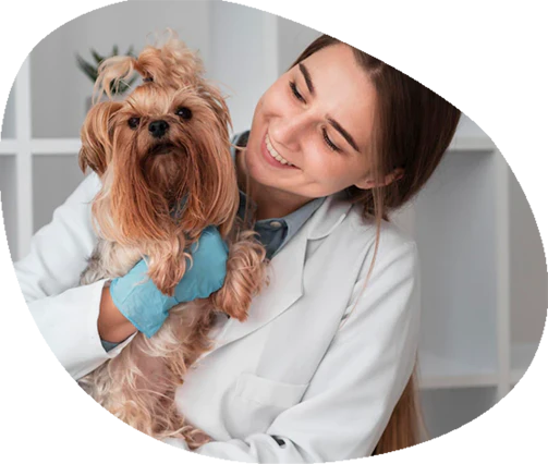 veterinaria-babis veterinaria-babis